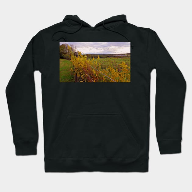 Fall Wildflowers Beautiful Autumn Season Peaceful Landscape Photograph Art Country Farmhouse Hoodie by tamdevo1